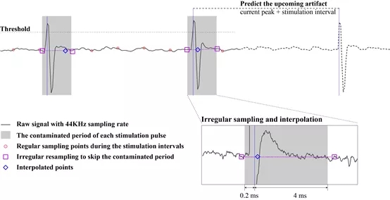 复旦大学类脑智能研究院发展电刺激伪迹实时处理新方法