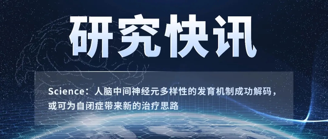 Science：人脑中间神经元多样性的发育机制成功解码，或可为自闭症带来新的治疗思路